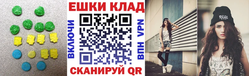 Купить закладки  Кыштым  ЭКСТАЗИ таблы 