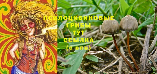 марки nbome Верея