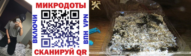 Купить  Кыштым  Галлюциногенные грибы Cubensis 